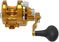 Avet SXJ 6/4 MC Raptor 2-Speed Lever Drag Casting Reel Gold -Fishing Tackle Shop avet sxj 64 mc raptor 2 speed lever drag casting reel ave 0343 1 94288.1650992238