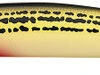 Daiwa Salt Pro Minnow - 5-1/8in Floating - SOS Yellow
