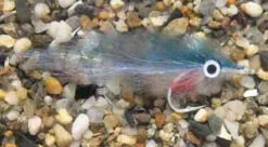 Enrico Puglisi Peanut Butter Blueback Herring Saltwater Fly