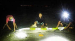 Land Shark Release Ruler 6 Land Shark Release Ruler -Fishing Tackle Shop land shark release ruler 11725.1651112068