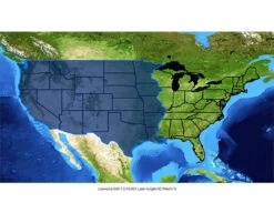 Lowrance Lake Insight High-Definition Lake Maps 5 Lowrance Lake Insight High-Definition Lake Maps -Fishing Tackle Shop lowrance lake insight hd lake maps 02617.1650826068