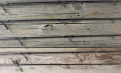 ODM 2021 Genesis Surf Spinning Rods -Fishing Tackle Shop odm rods genesis saltwater surf spinning rods 94577.1651081251