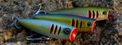 Tactical Anglers CrossOver Popper Lure 5 Tactical Anglers CrossOver Popper Lure -Fishing Tackle Shop tactical anglers crossover popper lure 23446.1651327098