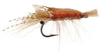 Umpqua 15611 Ultra Shrimp Popovic 1 Umpqua 15611 Ultra Shrimp Popovic